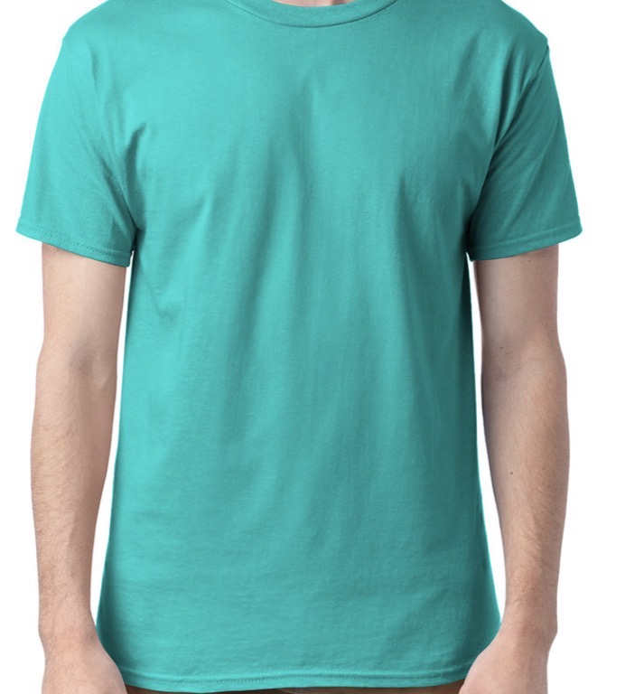 Pick Your Gildan/Hanes Tee | Choose Your Design